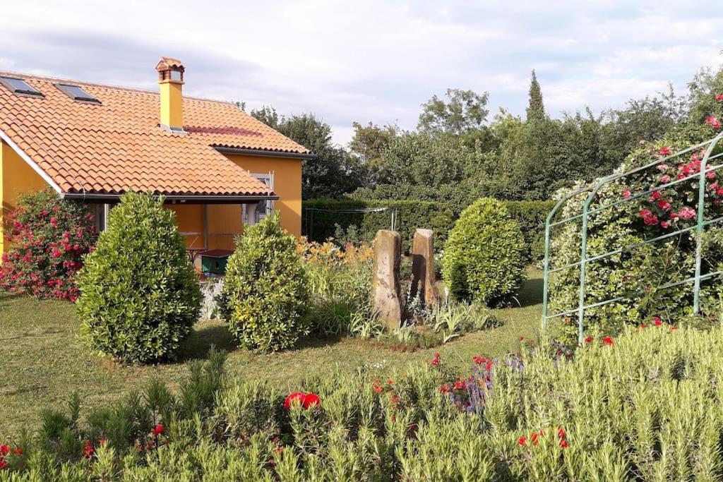 Apartma Oljka Pomjan Šmarje Εξωτερικό φωτογραφία